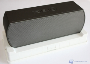 Fresh n_Rebel_Curve_12