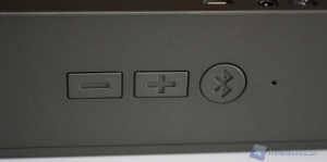 Fresh n_Rebel_Curve_21